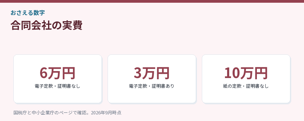 合同会社の実費のパターンをまとめた図解